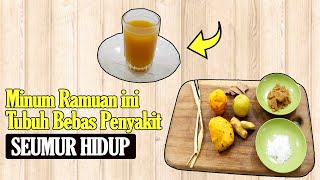 TAK PERLU SUPLEMEN MAHAL... CUKUP PAKAI BAHAN-BAHAN INI, TUBUH SEHAT SECARA ALAMI SELAMANYA