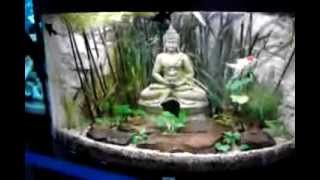 VID 20130202 194010