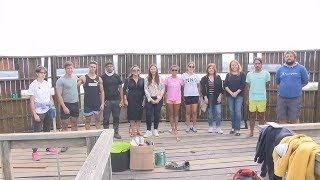 Os 17 voluntarios do Grove retiran máis de 3 toneladas de uña de gato
