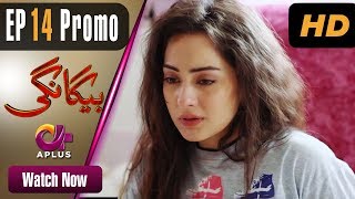 Drama | Begangi - Episode 14 Promo | Aplus Dramas | Nausheen Ahmed, Shehroz Sabzwari, Asif Raza Mir
