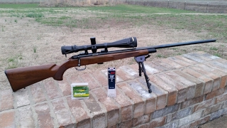22 LR Shootout CCI Mini-Mags VS Remington Golden Bullets, Is There A Difference? 2/21/17
