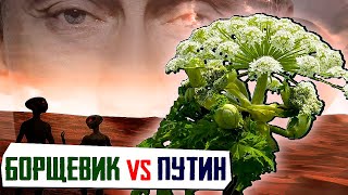 БОРЩЕВИК - зеркало Российской действительности