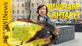 Голова динозавра в янтаре и другие влипшие 99 млн. лет назад. Ярослав Попов 