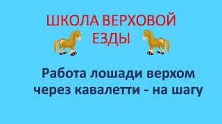 Работа лошади верхом через кавалетти на шагу