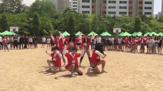 일산동고댄스부 바이올렛 VIOLET  체육대회 공연