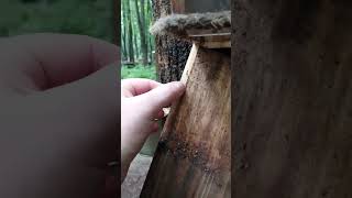 Кто-то сломал основную кормушку / Someone broke the main feeder