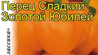 Перец сладкий Золотой Юбилей. Краткий обзор, описание характеристик cápsicum ánnuum