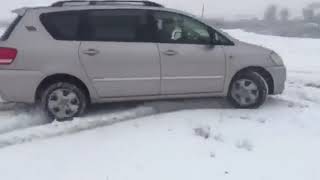 Toyota Ipsum