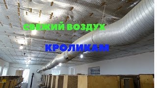 Система вентиляции в крольчатнике