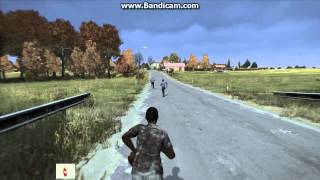 Вайп на сервере  Dayz Standalone