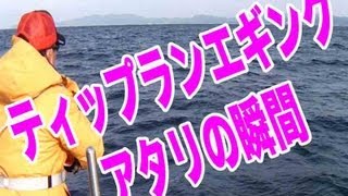 ティップランエギング　アタリの瞬間