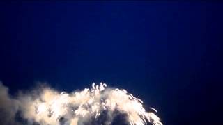 FOSR19011 CAKE IN A ROW - 19RAN - together - brocade waterfall 8/1 2016