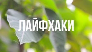 НА РЫБАЛКУ С ИВАНЫЧЕМ.Fishing with Ivanych. Лайфхаки.