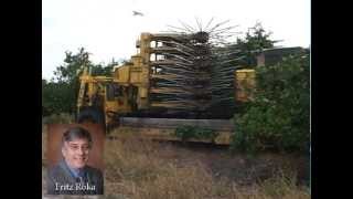 Mechanical Harvesting for Orange Trees in Florida