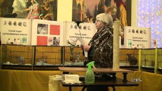 Украинский левкой шоу-презентация породы 10.12.2011
