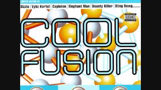 Cool Fuison Riddim Mix (2004) By DJ.WOLFPAK