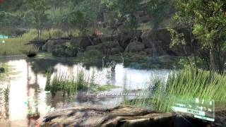 Crysis 3 Frame Test @ 4k 60 FPS