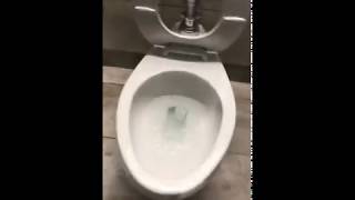 Old faithful in the school bathroom