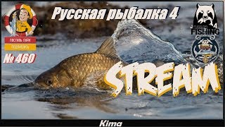 ▶️ " ПОРА МНЕ  ТРОФОВ ЛОВИТЬ  " - RF4/РР4 - № 460 ▶️ Kima STREAM - BANDA77?