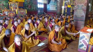 Kanglung shedra monks praying