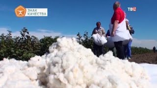 Хлопок. Знак качества