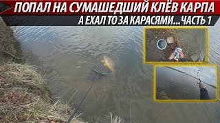 Хотел карасей, а клевали одни карпы! Подсел хороший паровоз! Рыбалка на флэт фидер. Часть 1