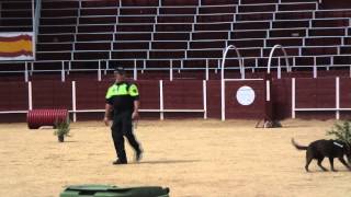Exhibición oficial de la unidad canina de la Policía de Mejorada del campo