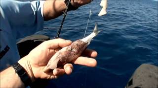 Fishing tips!! Advanced Squid Condom Bait presentation video!!