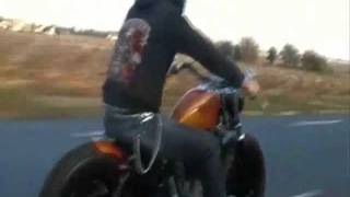 BOBBER HARLEY SPORTSTER 