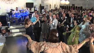 Bijav Sunet Leon 19-4 14  KbhTEST 1 00023