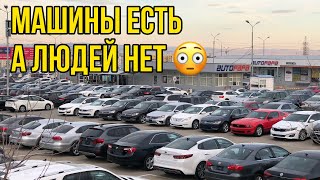 Прогнозы сбылись! На автобазаре в Грузии пусто. Реальные цены на машины в 2020 году.