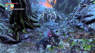 Bloodborne Палка в жопе