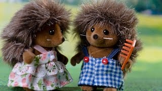 Sylvanian families (Семейка ёжиков)