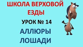 Аллюры лошади