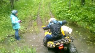 Квадрацикл Termit libre cross