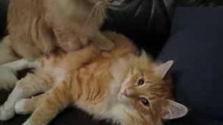 Vinski's massage - Vinskin hieronta