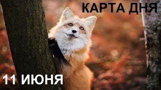 11 ИЮНЯ карта дня Все знаки Онлайн гадание
