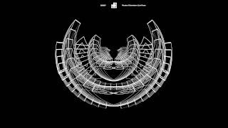 Luis Flores - Discipline