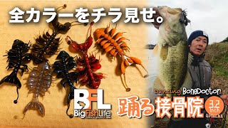 踊る接骨院の全カラーをチラ見せ！