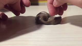Обзор на Slime/Adelina Slime/