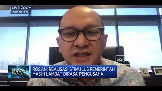 Rosan Roeslani: Realisasi Stimulus Pemerintah Dirasa Masih Lambat