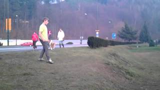 RUN GAINER CRASH | ZAKRDA