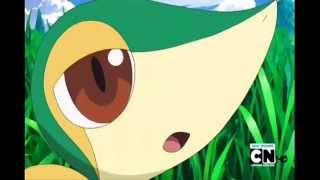 top 10 words of wisdom from snivy.