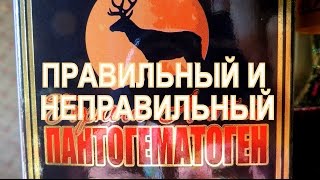 ПАНТОГЕМАТОГЕН ОТЗЫВЫ, КАК ВЫБРАТЬ ПАНТОГЕМАТОГЕН В ИНТЕРНЕТ МАГАЗИНЕ
