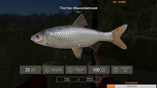Русская рыбалка 4 - Старый острог (Утренний фарм)