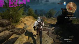 The Witcher 3 4K 1080 Ti SLI