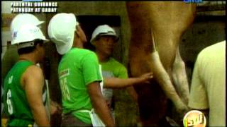 ISYU MINDANAO: WANTED BUTCHER 1