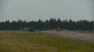 Two T-6 Texans and P-51 Mustang taking off