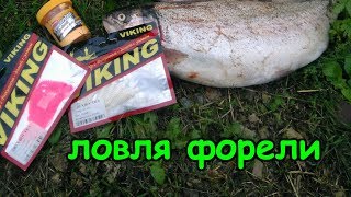 Ловля форели в Бисерово