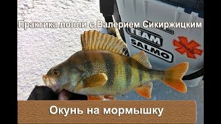 Окунь на мормышку. Безмотылка. Практика ловли с Валерием Сикиржицким.